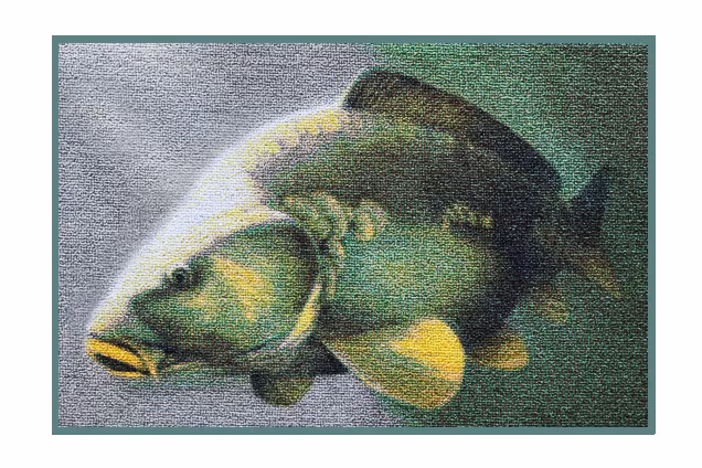 3D carp rug