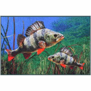 3D perches rug