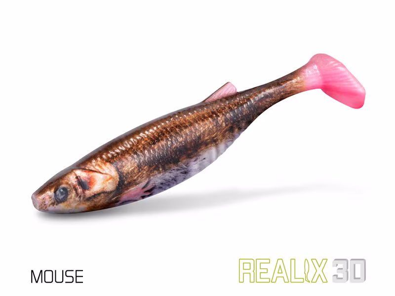 Artificial lure Delphin Realix 3D / 2 pcs