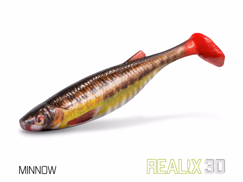 Artificial lure Delphin Realix 3D / 2 pcs