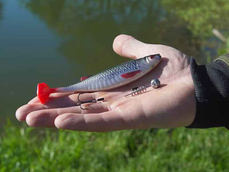 Artificial lure Delphin Realix 3D / 2 pcs