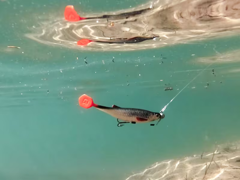 Artificial lure Delphin Realix 3D / 2 pcs