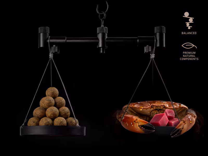 Balanced boilies Delphin BreaX / MonstaFISH