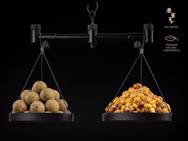 Balanced boilies Delphin BreaX / NutCAKE