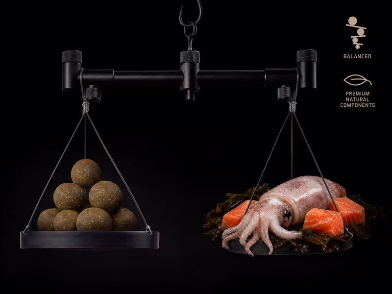 Balanced boilies Delphin BreaX / SeaKER