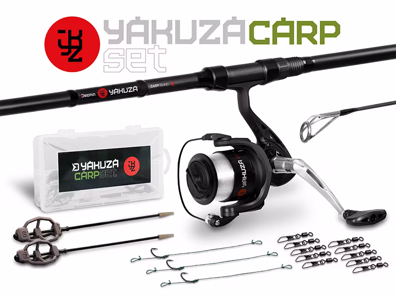 Carp set Delphin YAKUZA 360