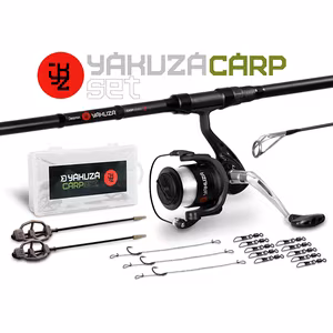 Carp set Delphin YAKUZA 360