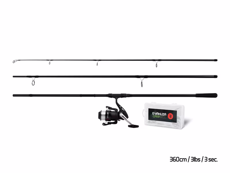 Carp set Delphin YAKUZA 360