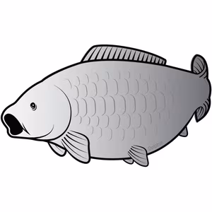 Carp sticker SILVER