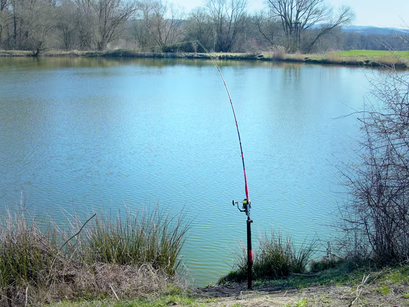 Catfish rod holder Delphin ENERGY