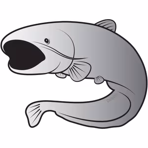 Catfish sticker SILVER
