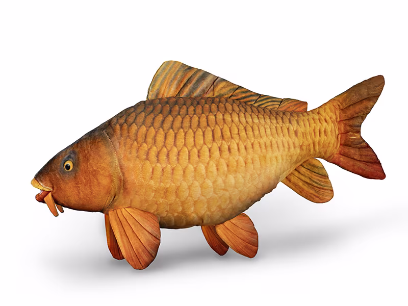 Delphin CARPY Plush Carp