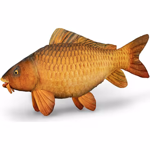 Delphin CARPY Plush Carp