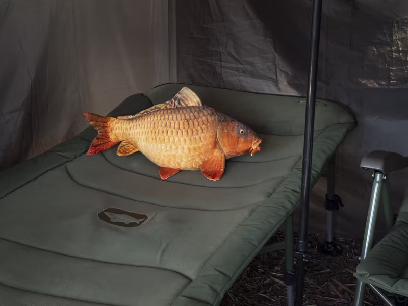Delphin CARPY Plush Carp