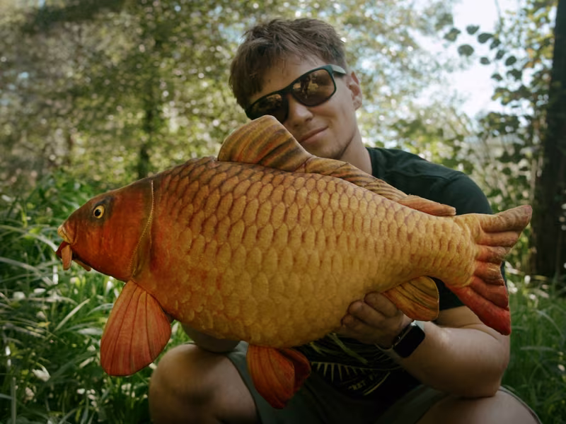 Delphin CARPY Plush Carp