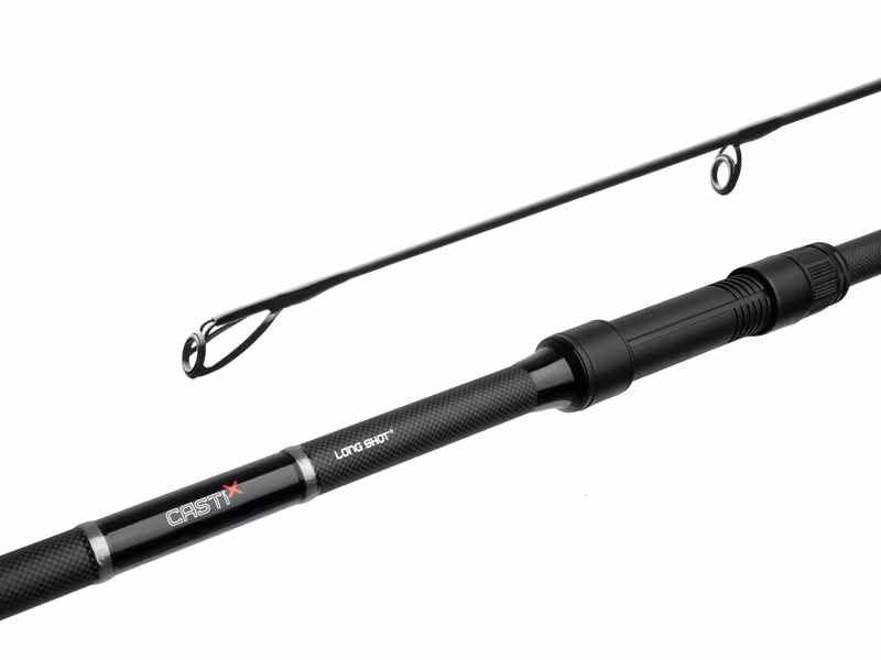Delphin CASTIX