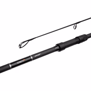Delphin CASTIX