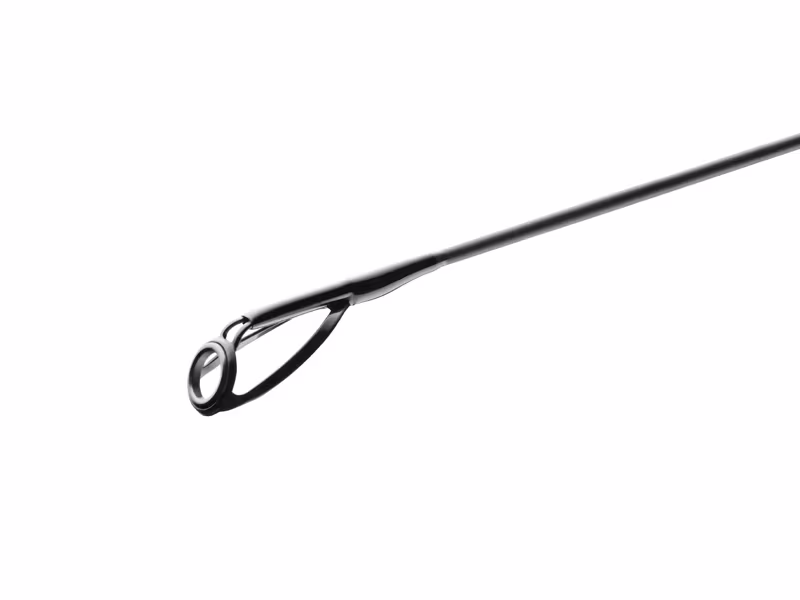 Delphin CASTIX