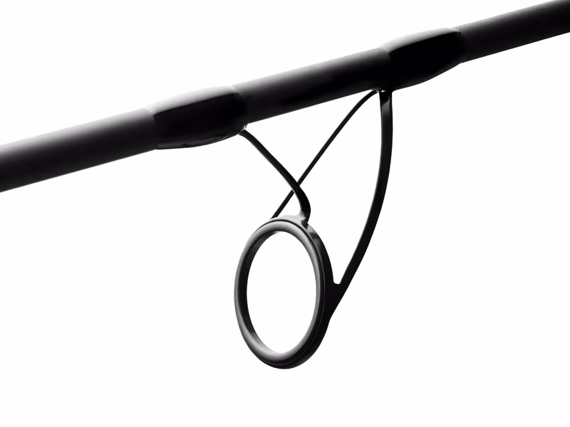 Delphin CASTIX