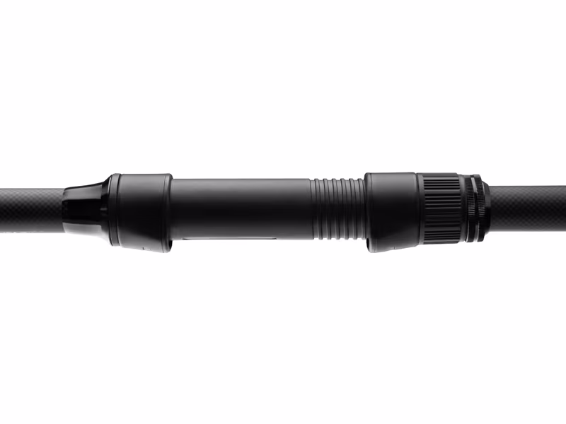 Delphin CASTIX