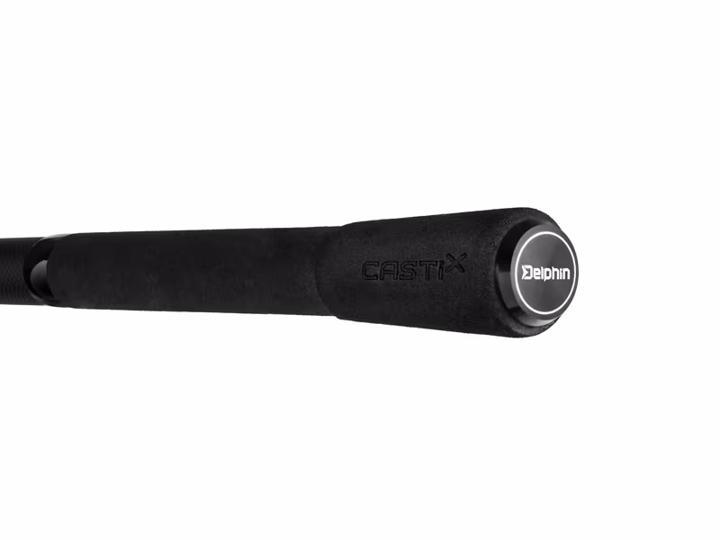 Delphin CASTIX