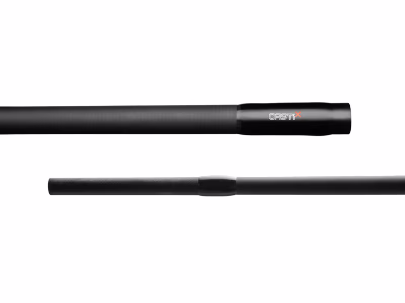 Delphin CASTIX