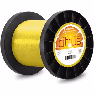 Delphin CITRUS / yellow