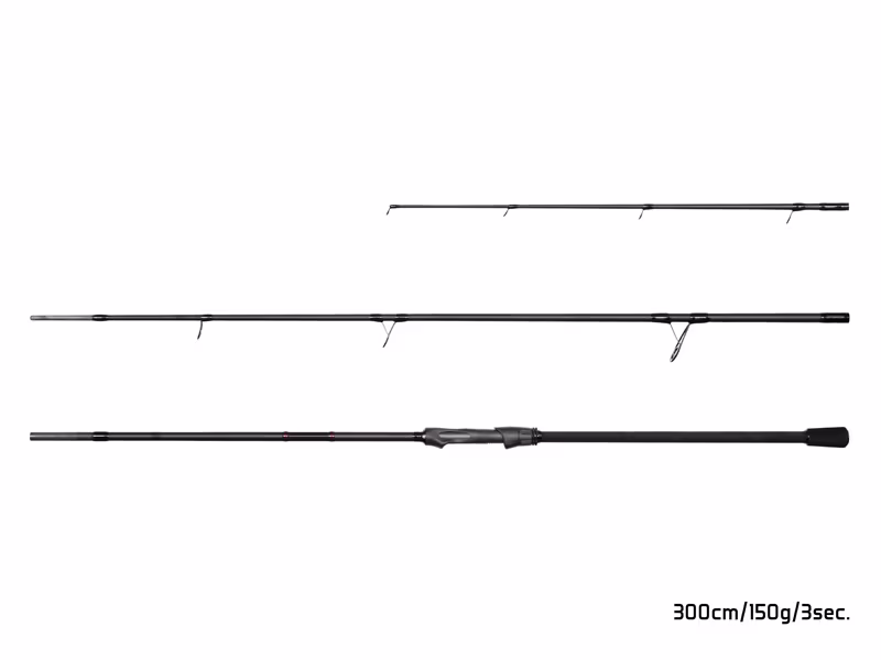 Delphin DIMENZIA