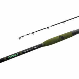 Delphin ENERGY Catfish