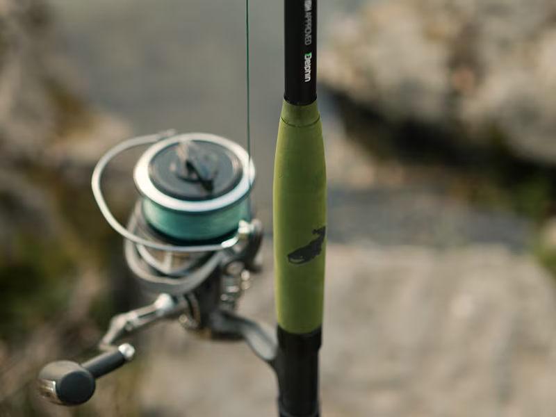 Delphin ENERGY Catfish