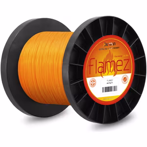Delphin FLAMEZ