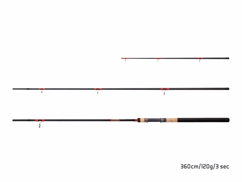 Delphin LEEDER Feeder + 2 tips
