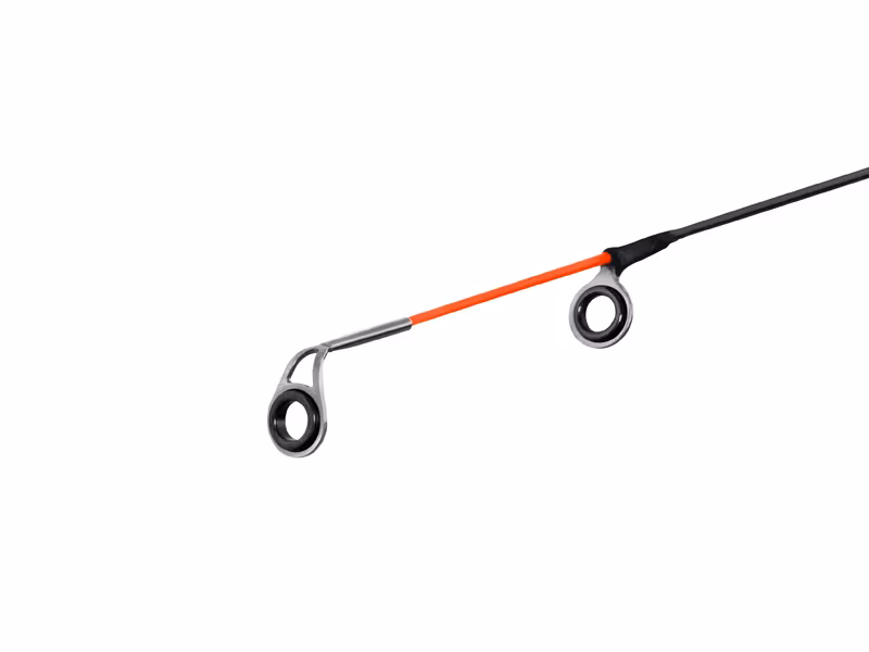 Delphin LEEDER Feeder + 2 tips