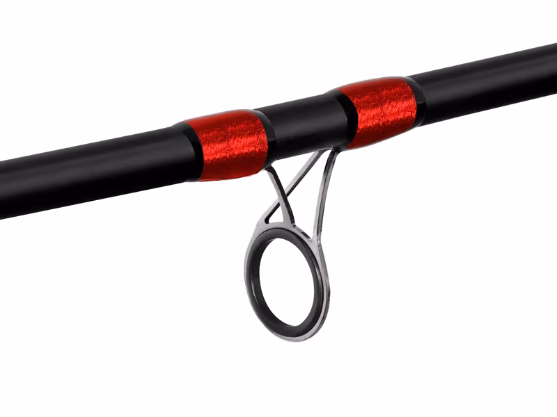 Delphin LEEDER Feeder + 2 tips