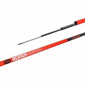 Delphin RONIN