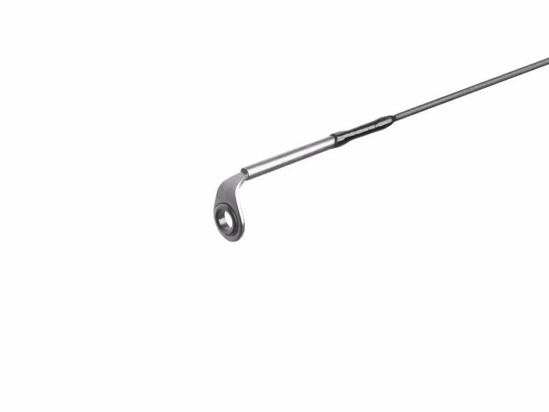 Delphin TROUTERA SoftLURE