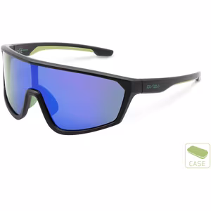 Delphin VIEW Polarized Sunglasses