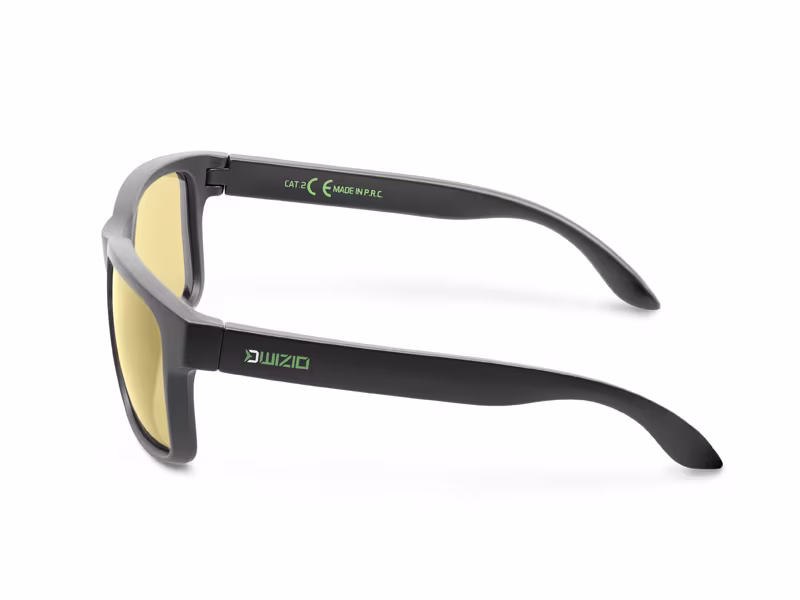 Delphin WIZIO Polarized Sunglasses