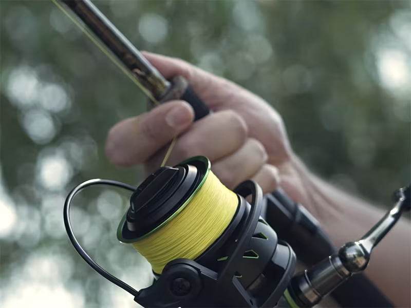 Delphin WRINX 5T DP