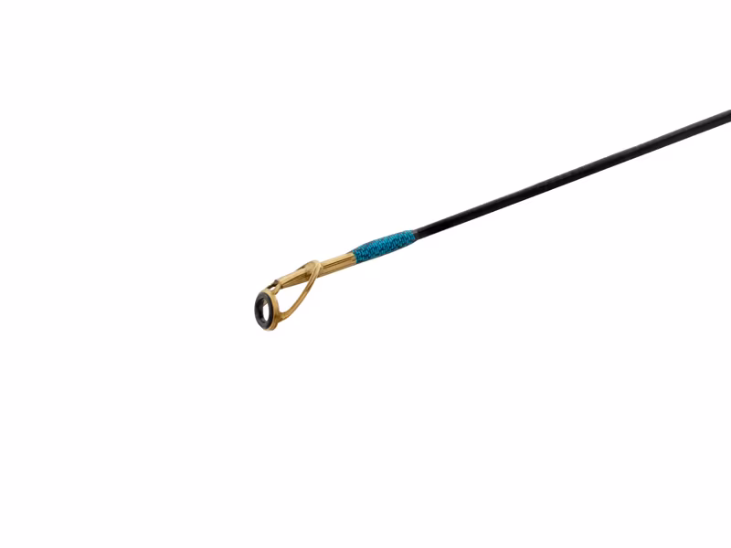Delphin Zandera NX