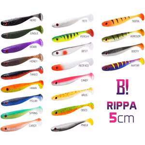 DuoPACK BOX Top mix BOMB! Rippa / 12x 5pcs