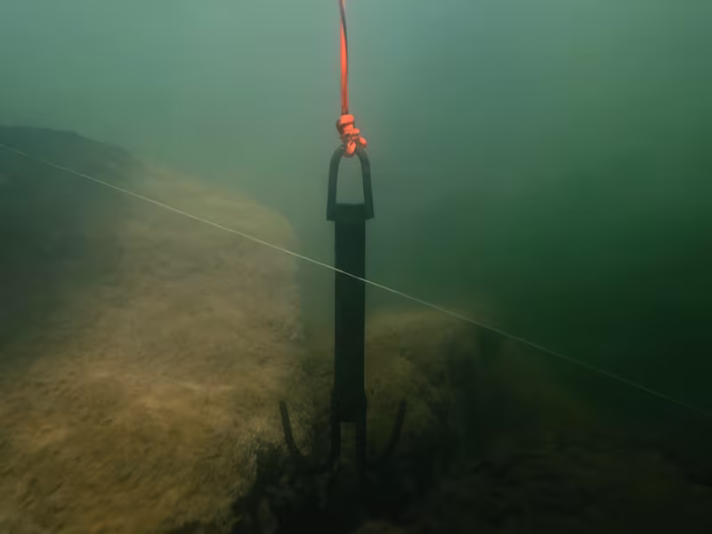 Grapnel anchor Delphin HELP