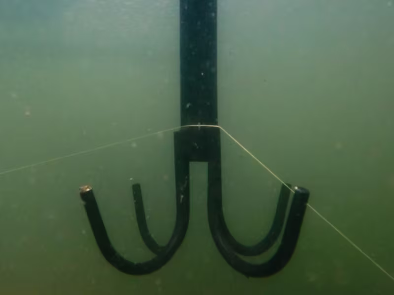 Grapnel anchor Delphin HELP