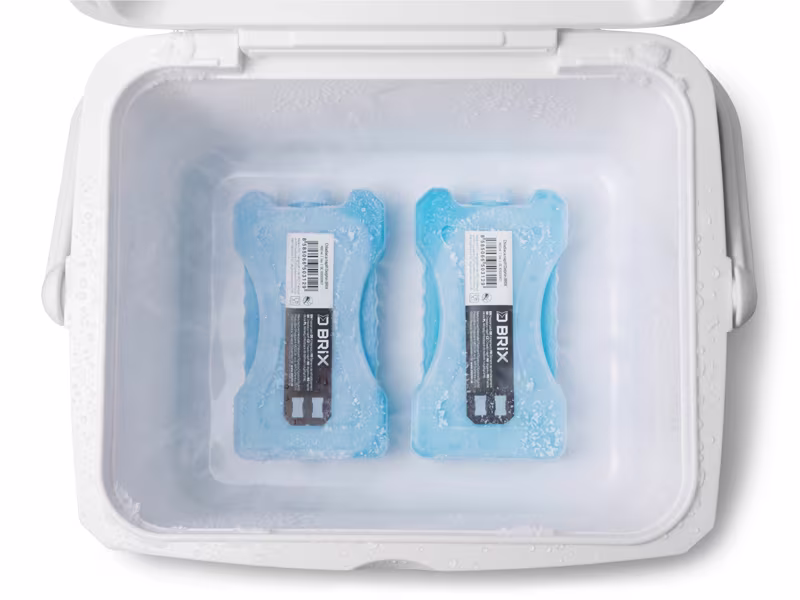 Ice pack Delphin BRIX