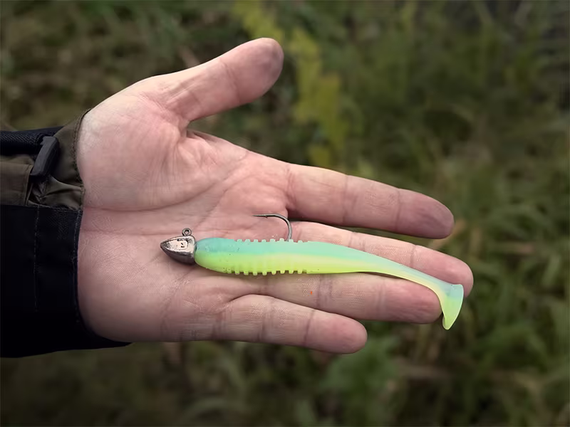 Jig head with a collar Delphin TRIAD / 5 pcs