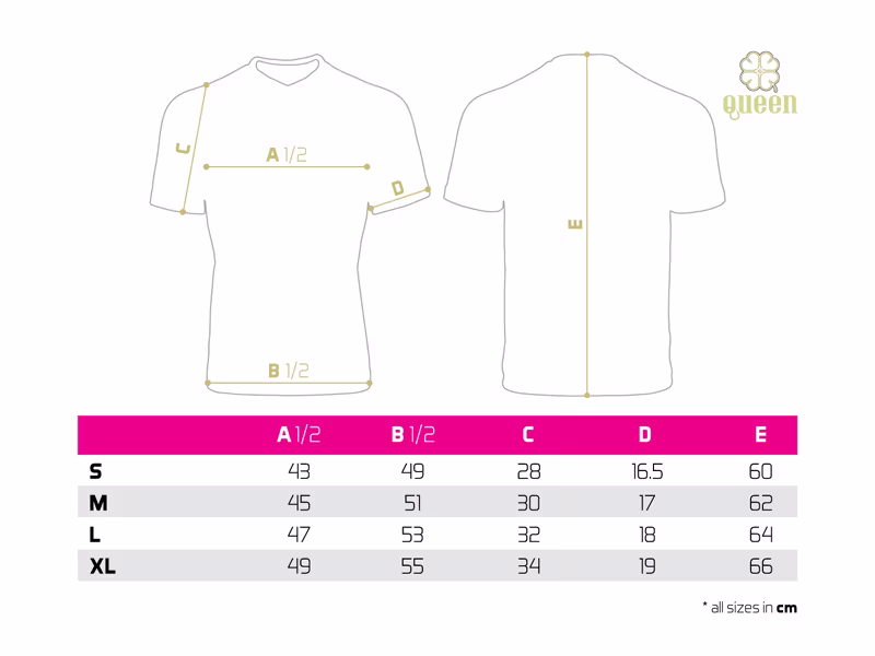 Ladie´s T-shirt Delphin QUEEN 4Love