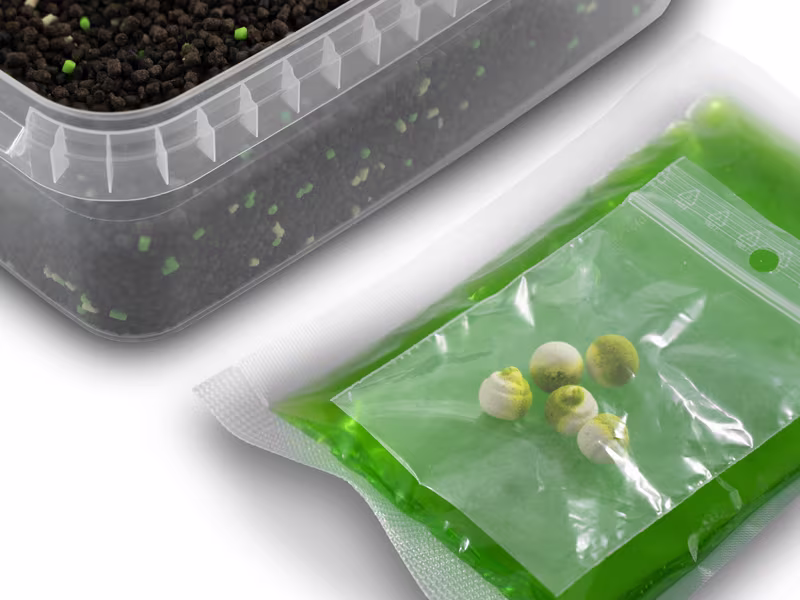Pellet box Delphin Reaxe READY&GO
