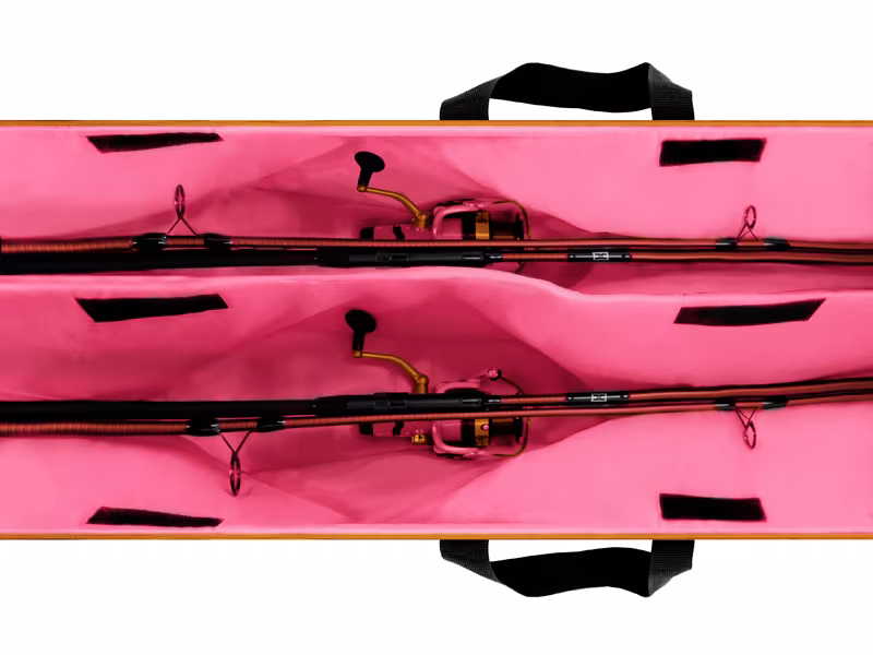 Rod case Delphin QUEEN 300-2