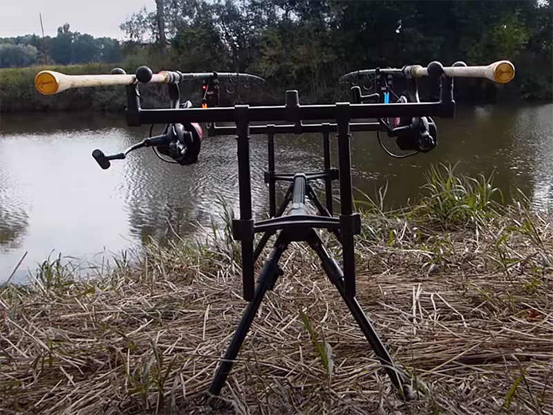 Rod pod Delphin BRONX