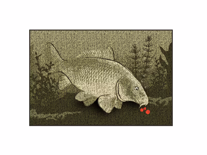 Rug Delphin CatchME! CARP